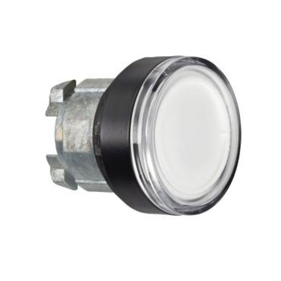 ILLUMINATED PUSHBUTTON HEAD