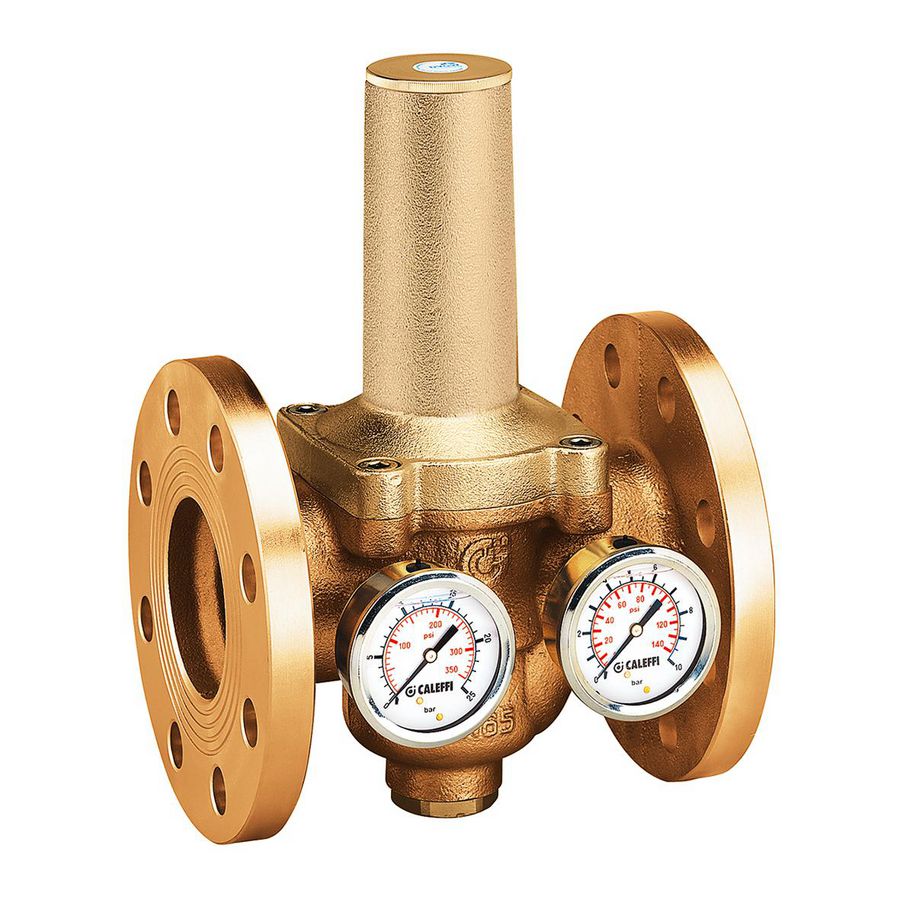 Reduceerventiel vervangbaar patroon manometer DN65 25 bar