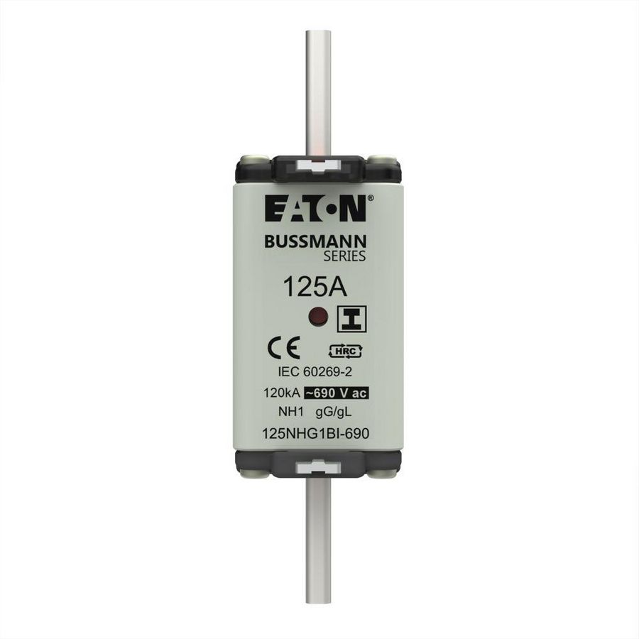 Zekering laagsp. 125A AC 690V NH1 gL/gG dubbele meld VVE=3