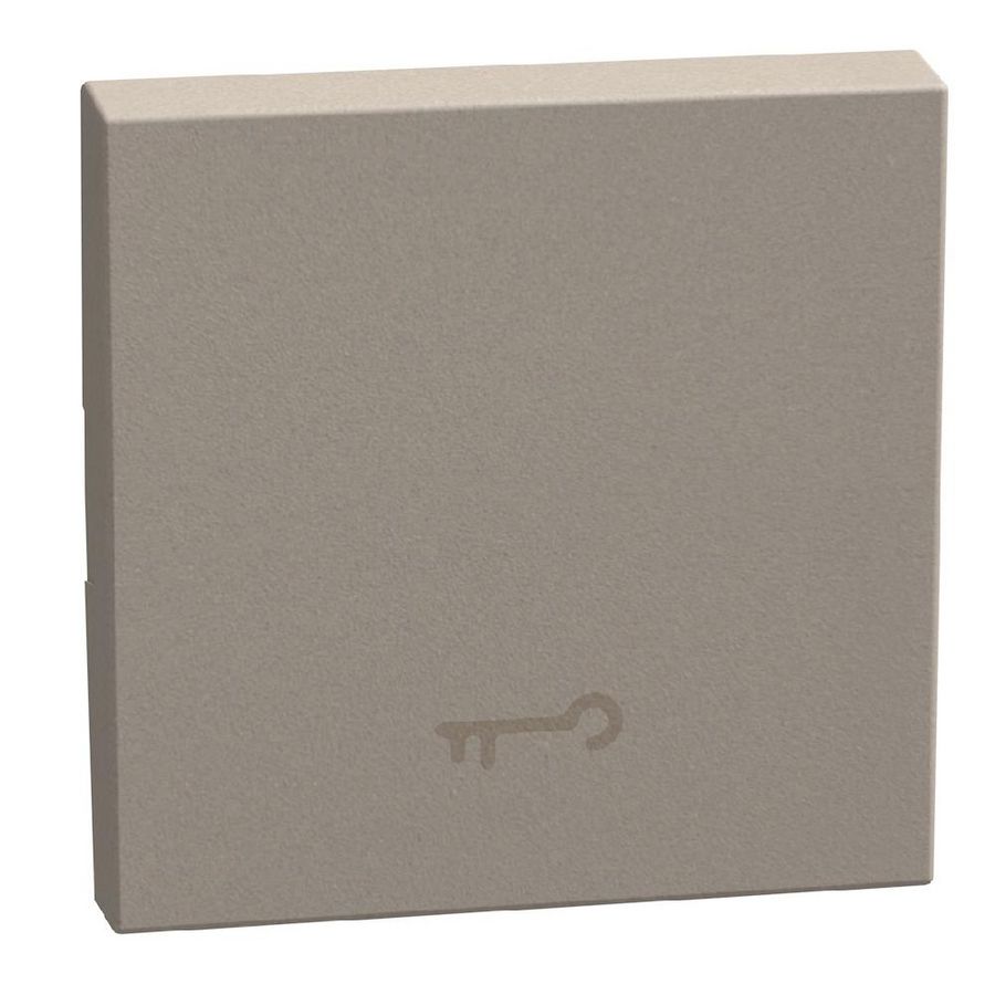 Light Now toets met pictogram sleutel 2 modules - stone