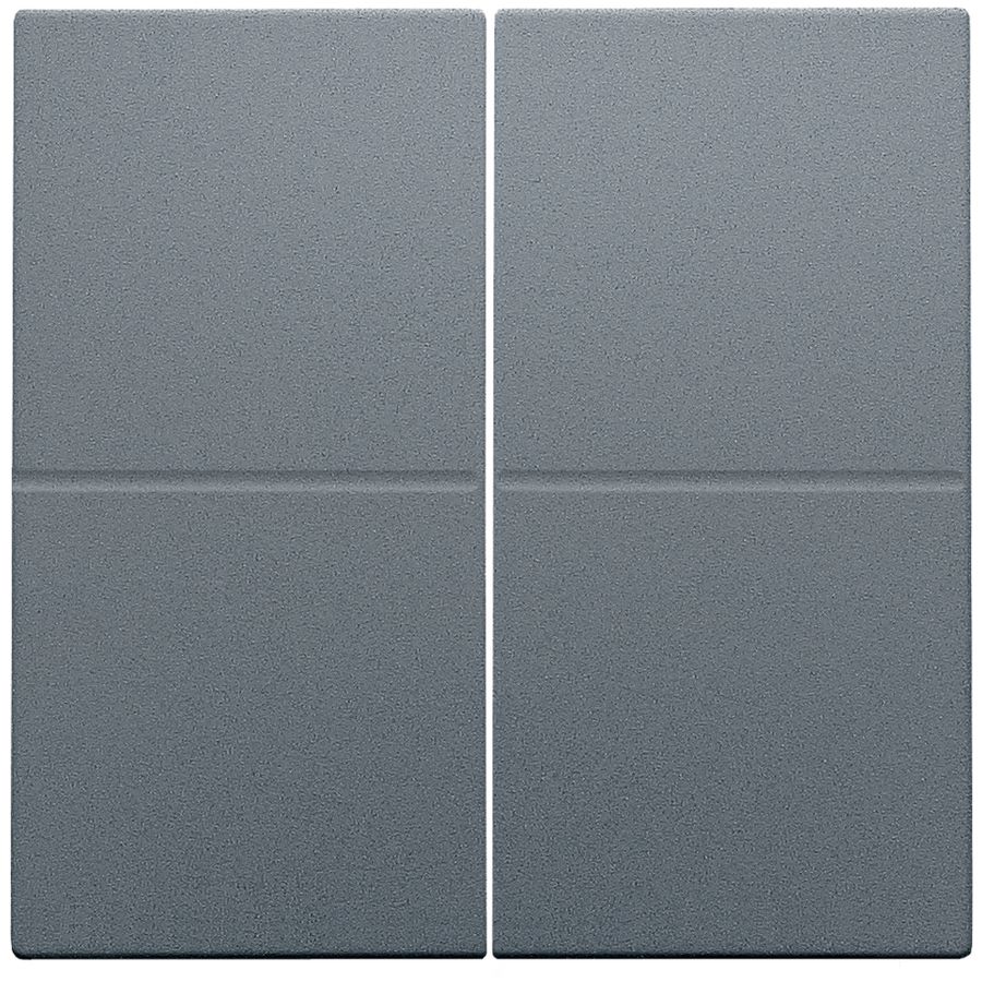 2-voudige toets RF dimschakelaar Hue BT EnOcean KNX blue gr