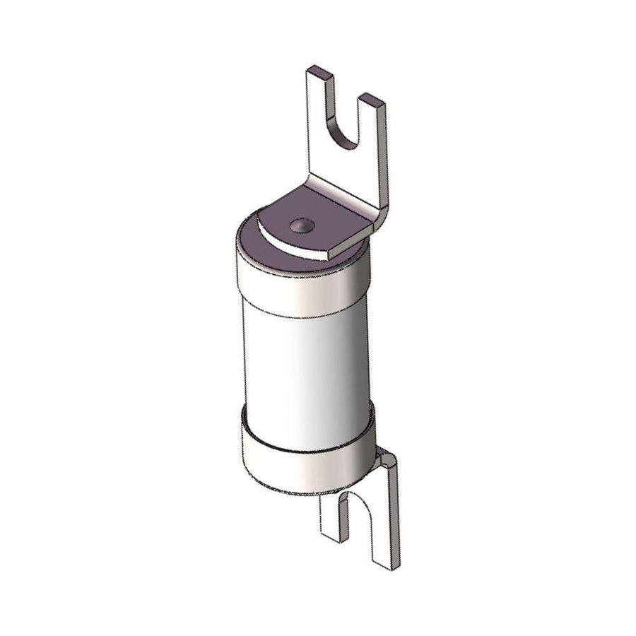 Zekering laagspanning 100A AC 440V gM BS 100M125 VVE=10