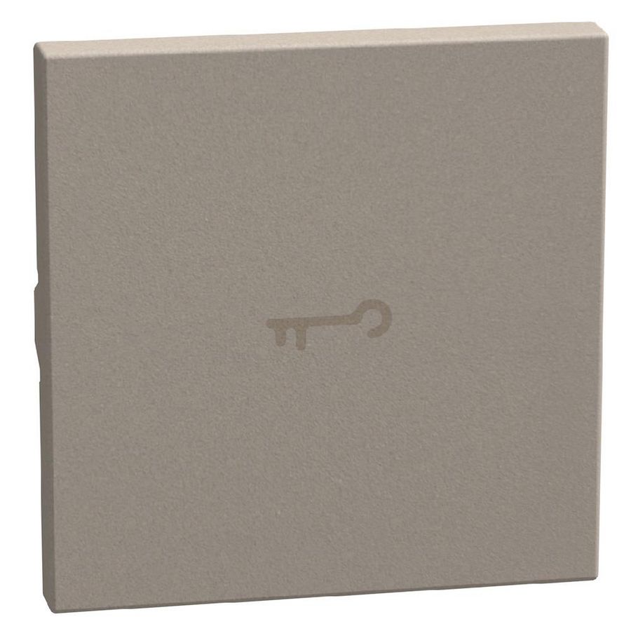 Light Now axiale toets met pictogram sleutel 2 modules - sto