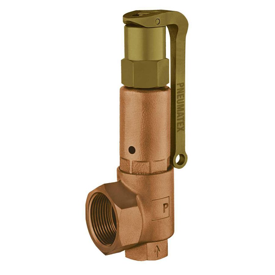 DSV 50-3.0 DGH veiligheidsventiel