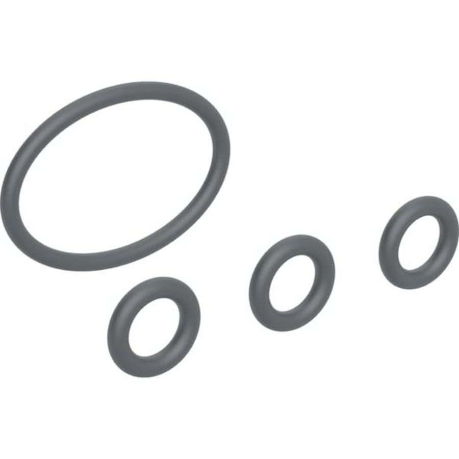 set O-ringen voor douchekop AquaClean Mera/Sel