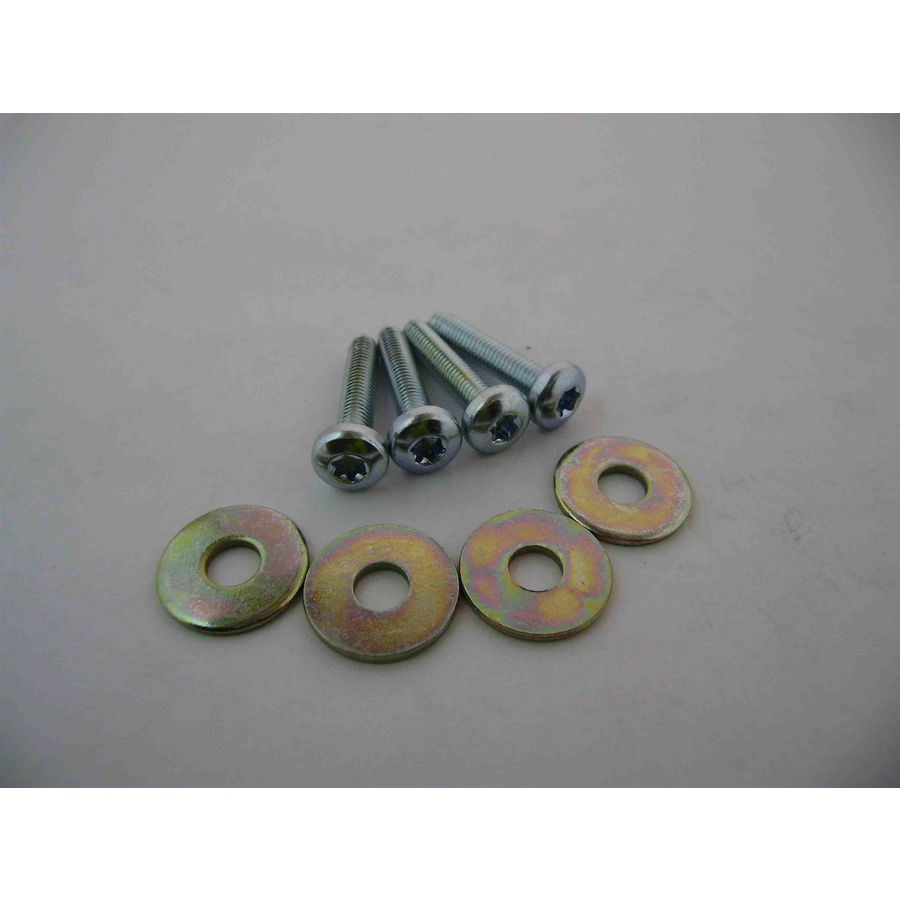 Schroef M5x30 + ring 0020103310