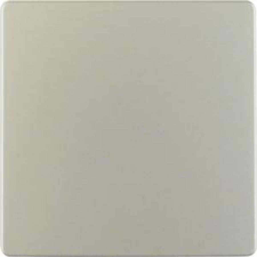 Centraalplaat voor sensorelement edelstaal gelakt