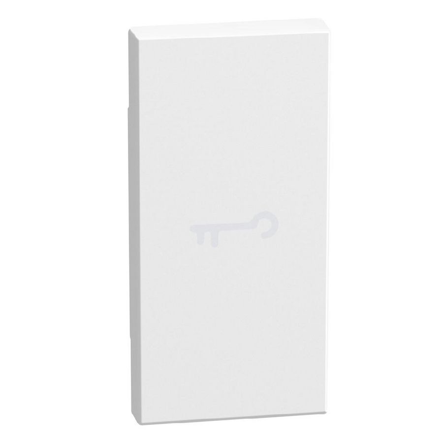 Light Now axiale toets met pictogram sleutel 1 module - wit