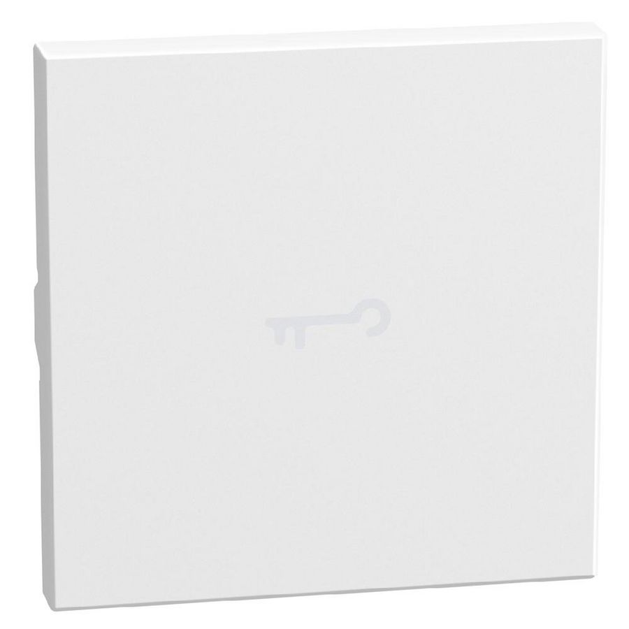 Light Now axiale toets met pictogram sleutel 2 modules - wit