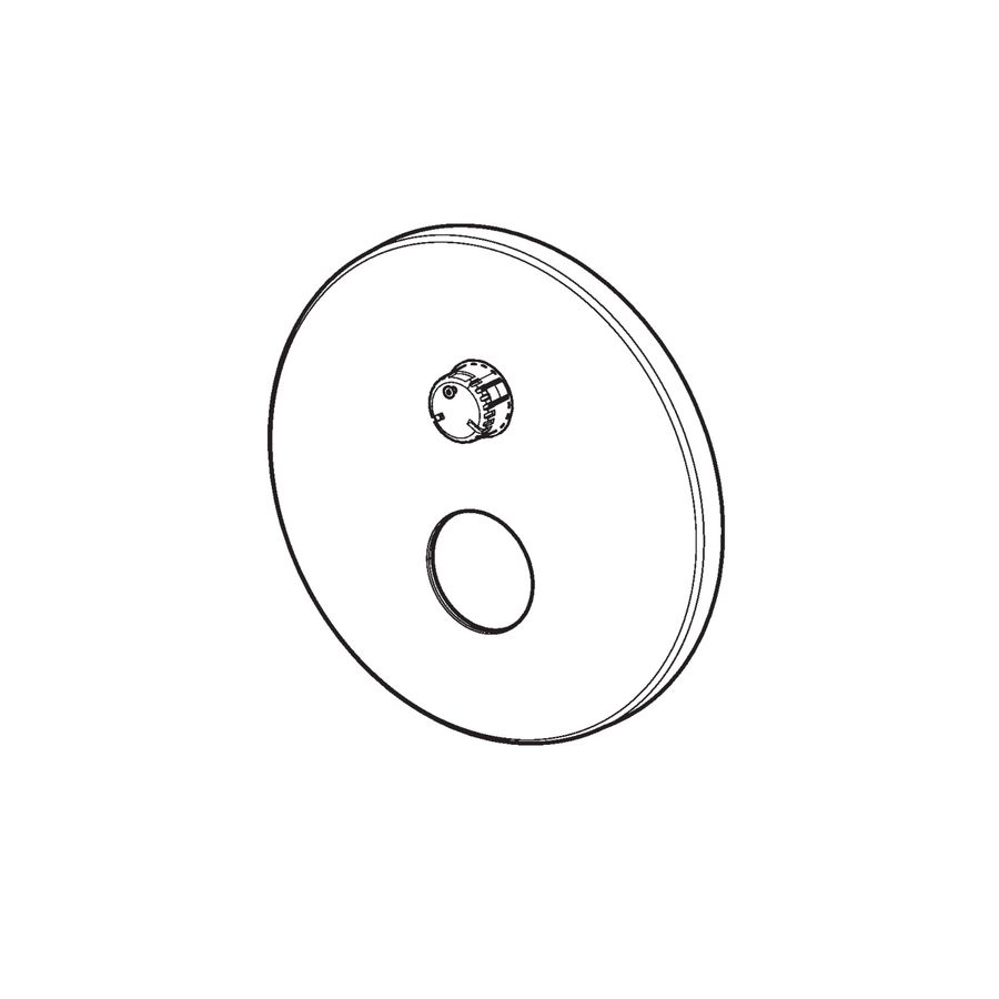 Afdekplaat d 170 mm 59914537