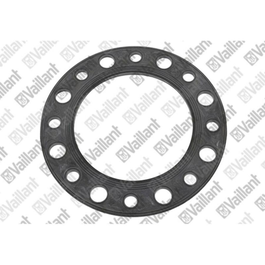 Pakking Flensdichting 0020053310