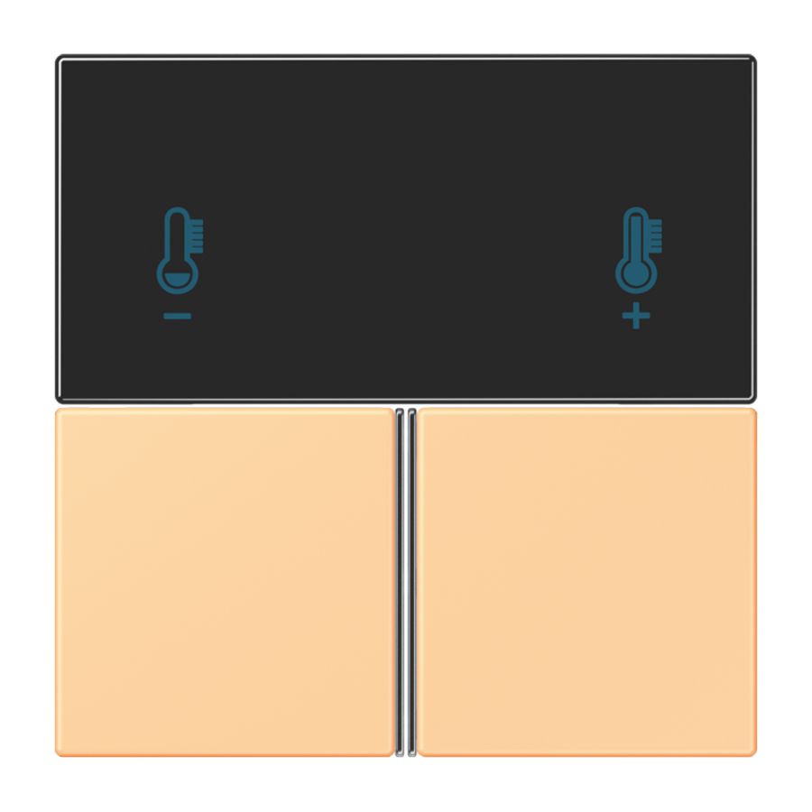 Tastafdekking RCD4093 compleet LC4320P KNX