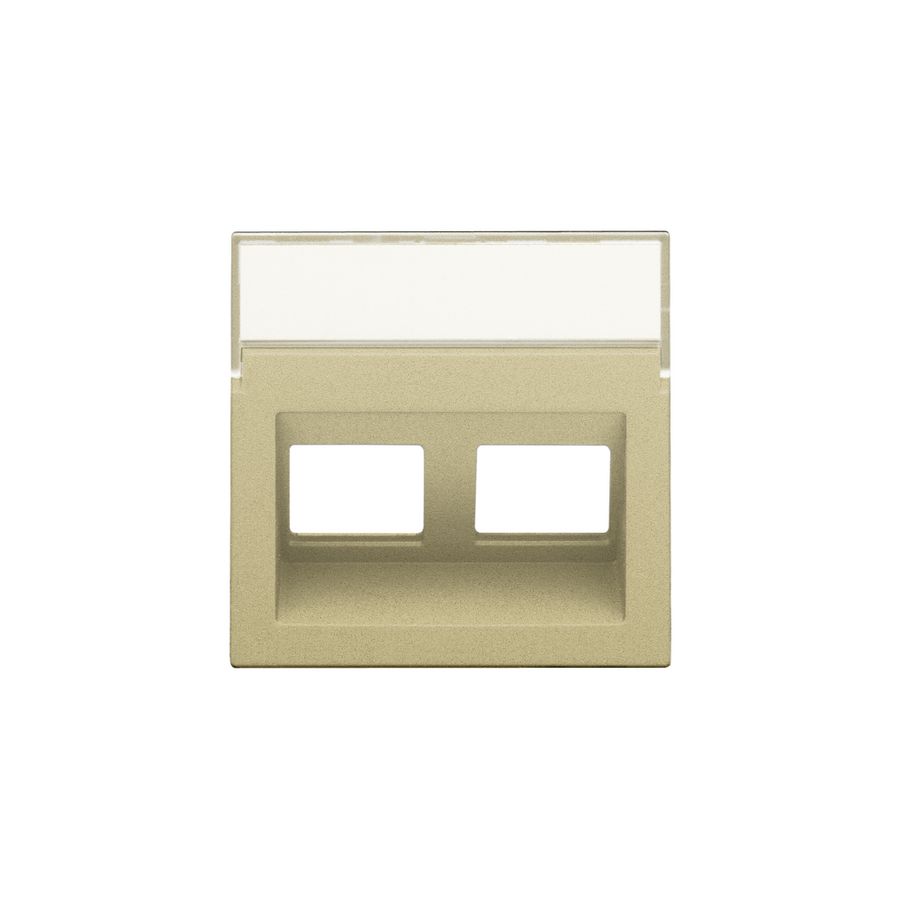 Centraalplaat data 2x RJ schuine uitgang gold coated