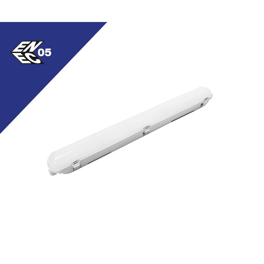 Radial 60 3CCT 11-19W