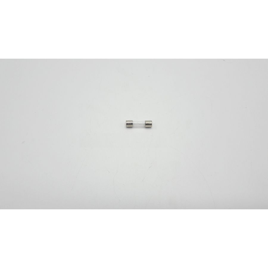 Glaszekering 2,5 A (traag)
