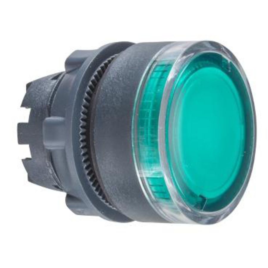 Kop drukknop Verlicht Verzonken Ø22mm Groen Harmony XB5