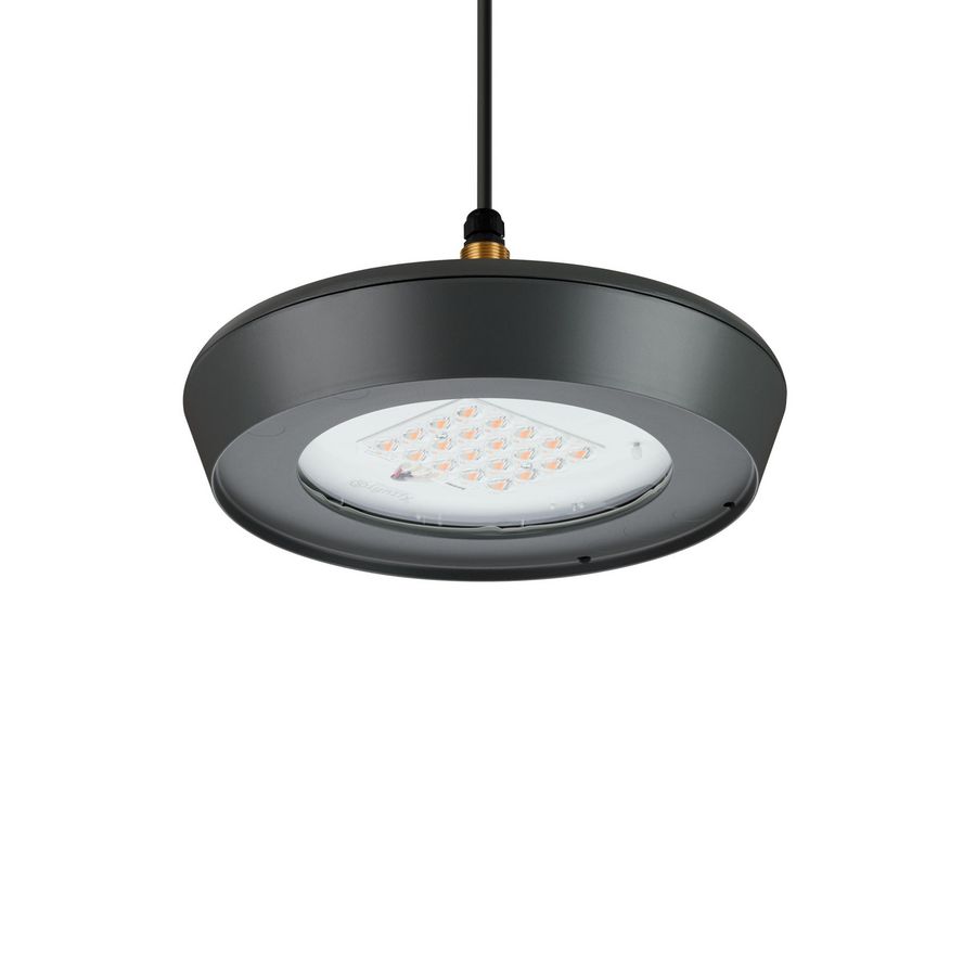 BSS300 LED60/730-1P DM16P SRT G1