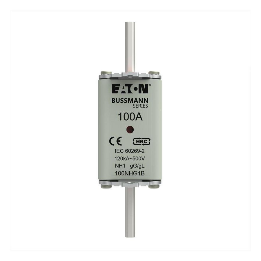 Zekering laagsp. 100A AC 500V NH1 gL/gG dubbele meld VVE=3