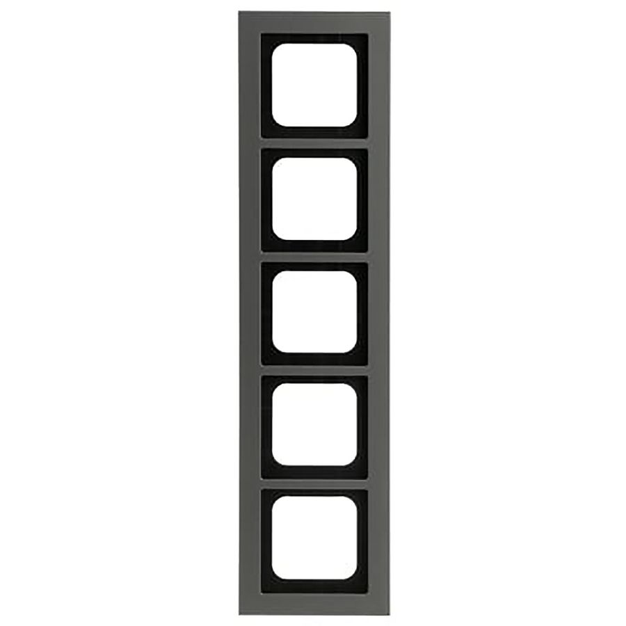 Afdekraam 5v ax-platin (1725-270)