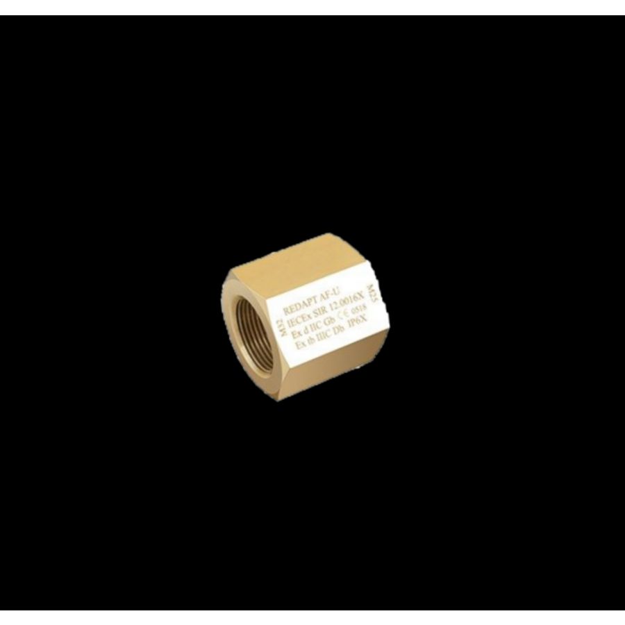 Adapter 1/2"NPT female naar 1"NPT female RVS ATEX