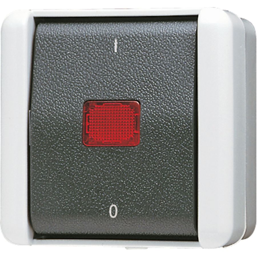 Wipcontroleschakelaar WG800 2-pol.m.onderk.