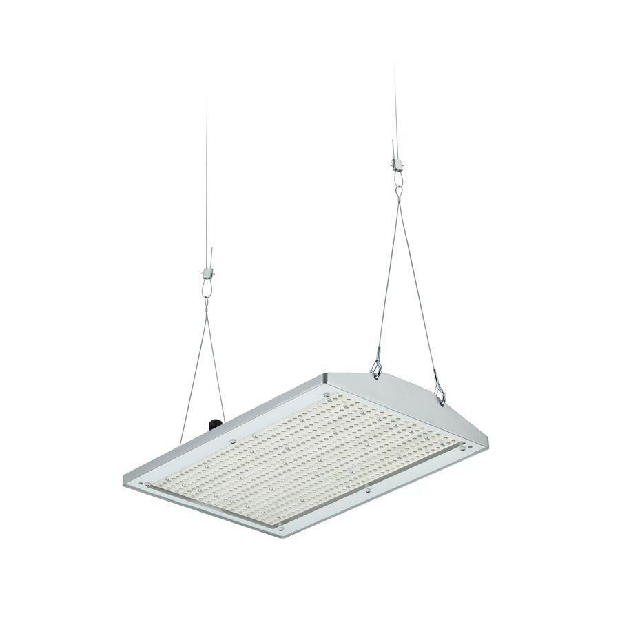 BY581P 250S/840 DIA HE WB GC SI BP 1mCW5