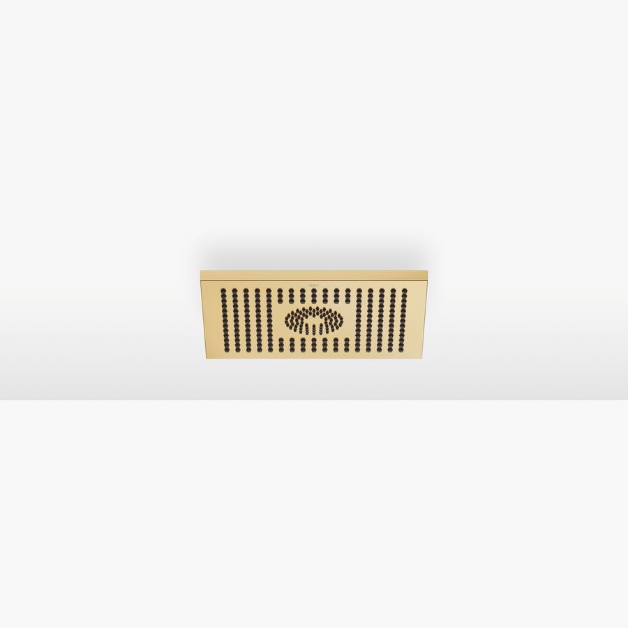 Regend plafondaan 300X240mm-GGoud