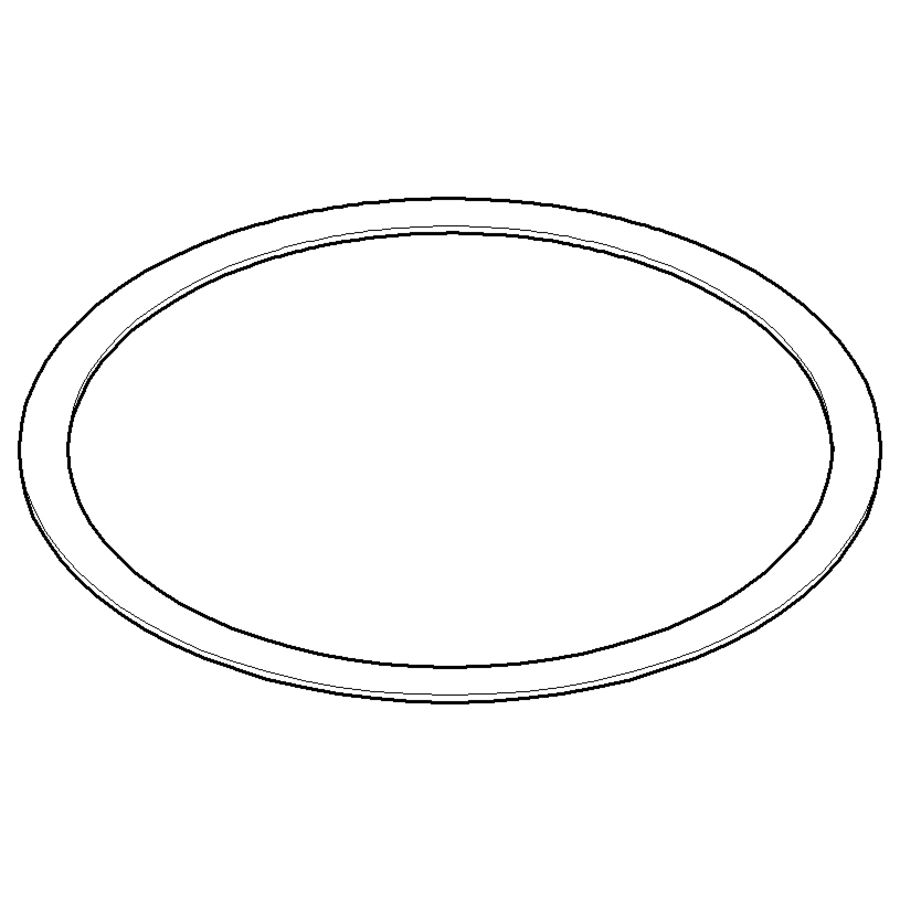 Ring 99X1mm