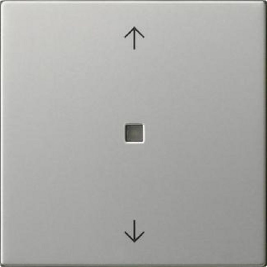 Wip 1-v pijlen ctrl.v. System 55 edelstaal