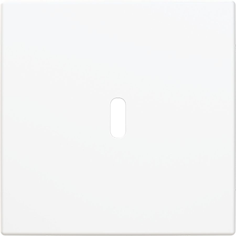 Afdekking voor USB-C voeding 65W. SI-B-alpinwit (6479-914)