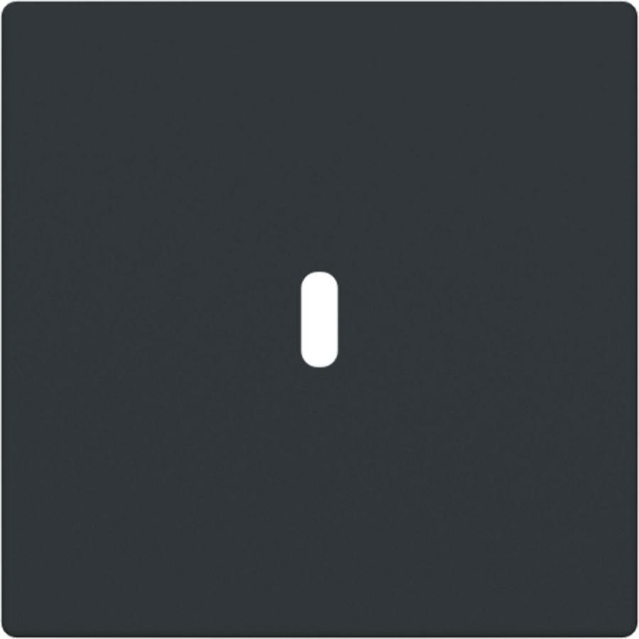 Afdekking voor USB-C voeding 65W. f-antraciet (6479-81)