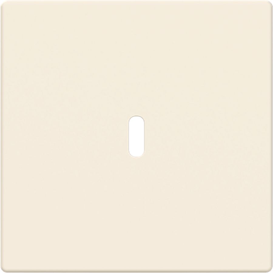 Afdekking voor USB-C voeding 65W. s-ivoor (6479-82)