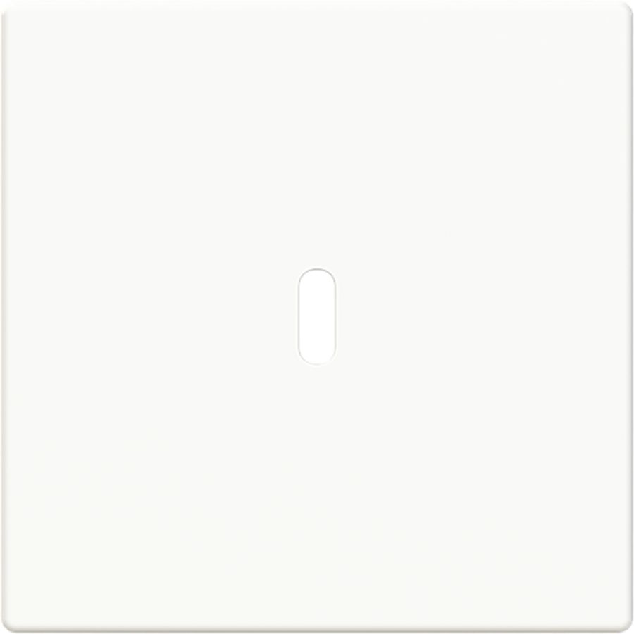 Afdekking voor USB-C voeding 65W. f-studiowit (6479-84)