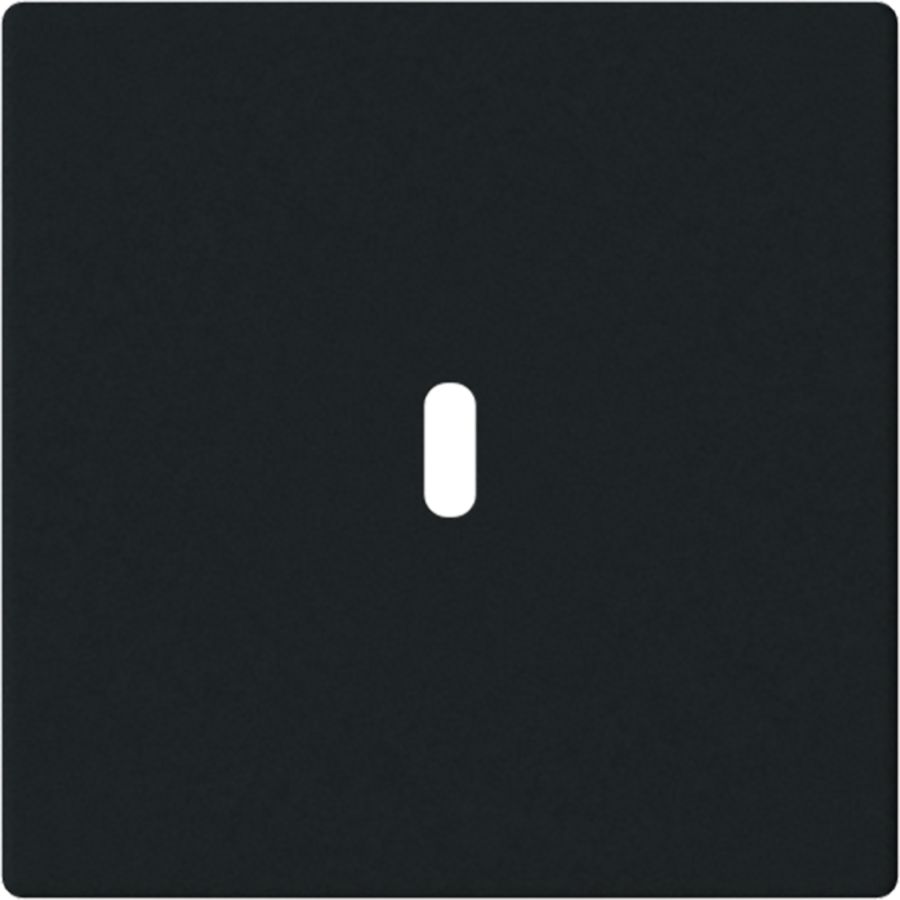Afdekking voor USB-C voeding 65W. f-matzwart (6479-885)