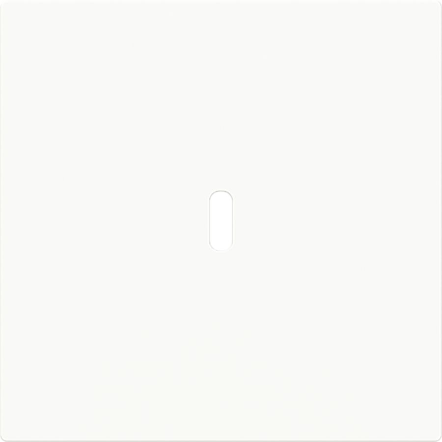Afdekking voor USB-C voeding 65W. art-wit (6479-44G)