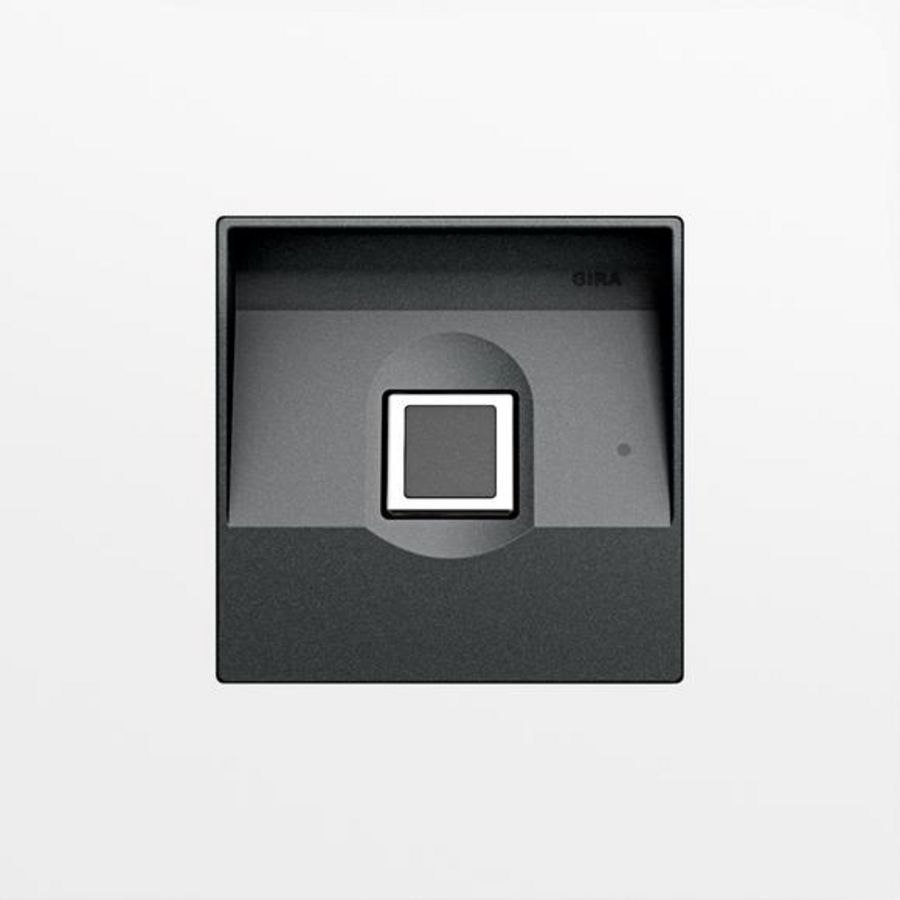 Gira Keyless In Fingerprint-mod. System 106 verkeerswit(gel.