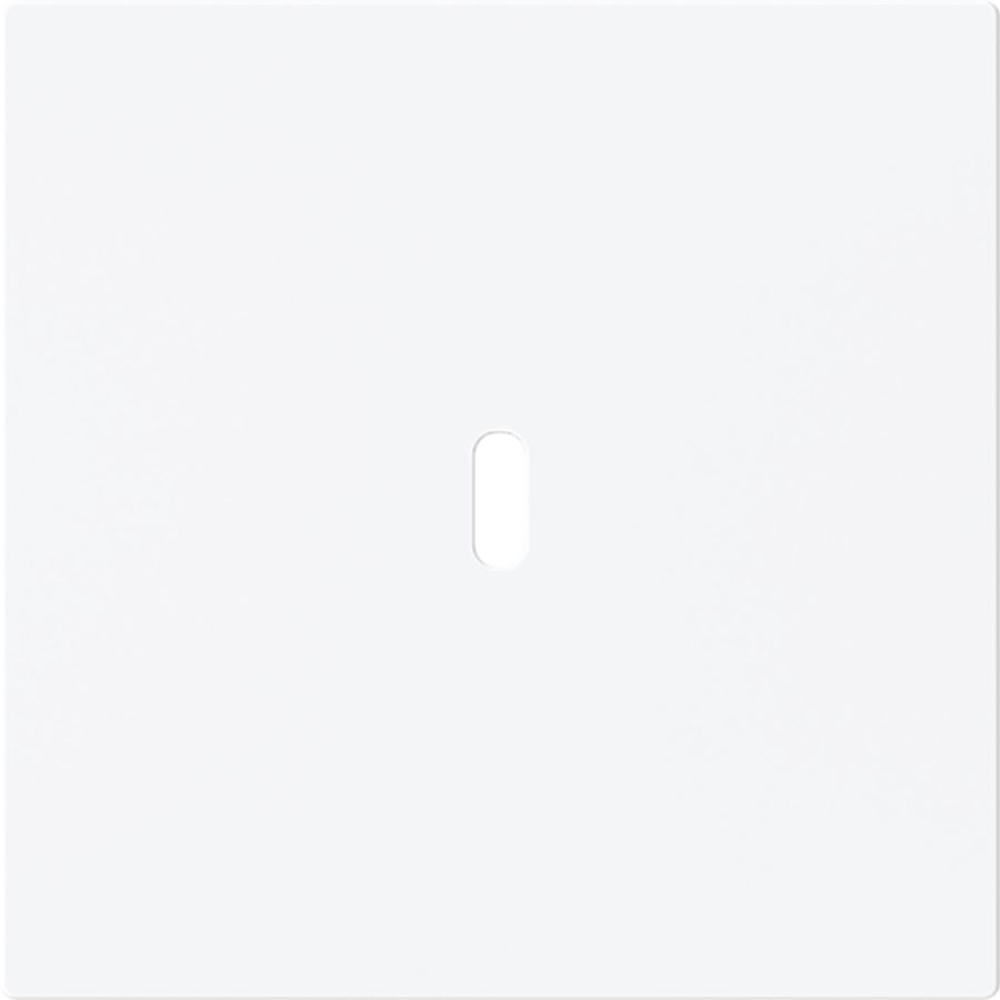 Afdekking voor USB-C voeding 65W. art-matwit (6479-44M)