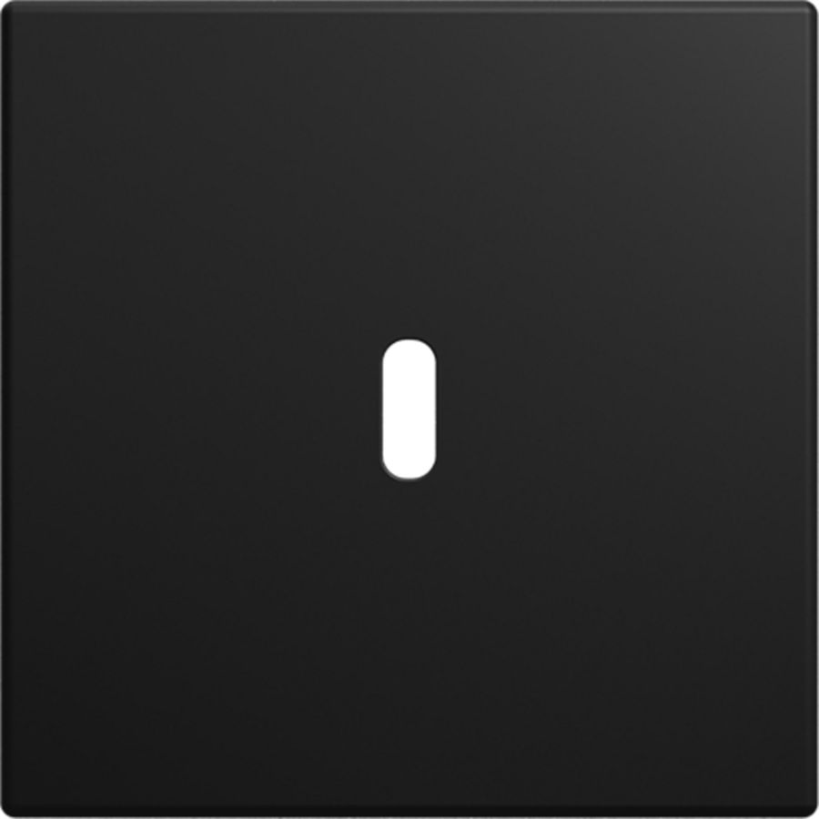 Afdekking voor USB-C voeding 65W. SI-B-matzwart (6479-915)