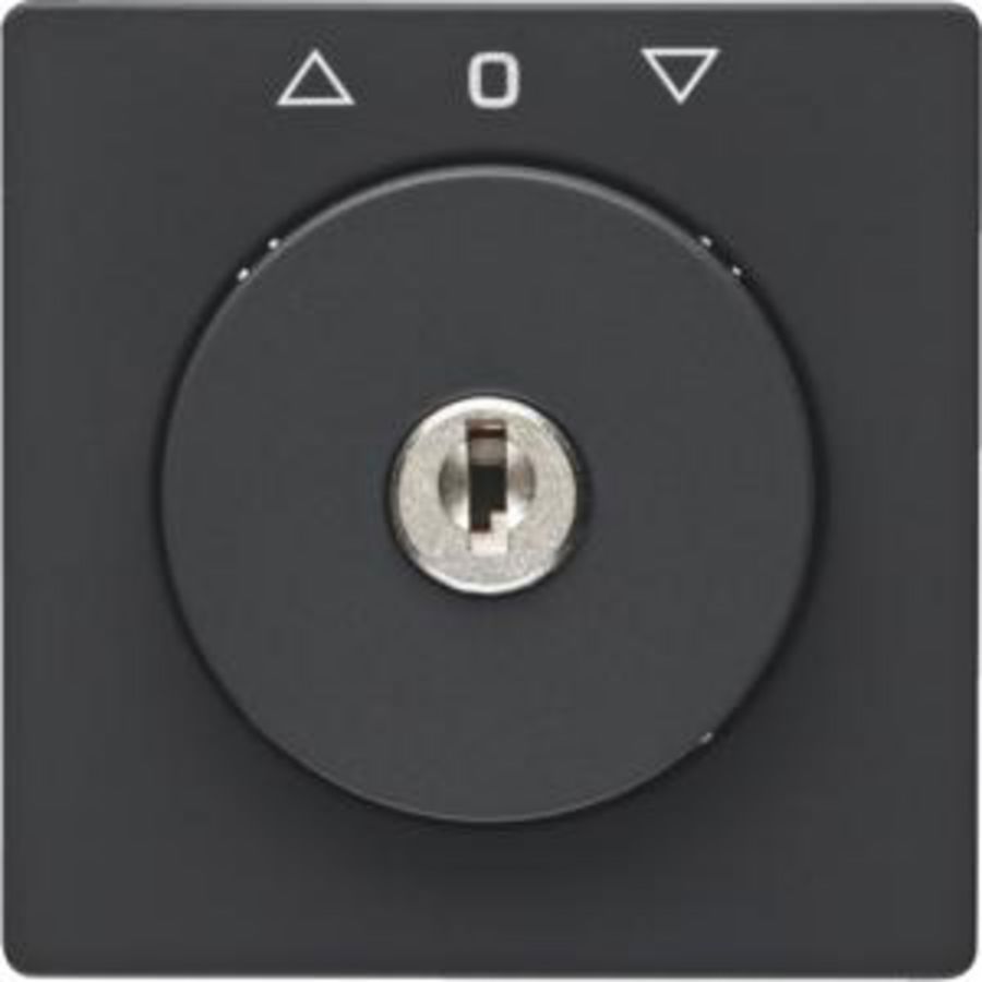 Centraaldoos slot jaloezieschakelaar berker Q.1/Q.3/Q.7 antraciet