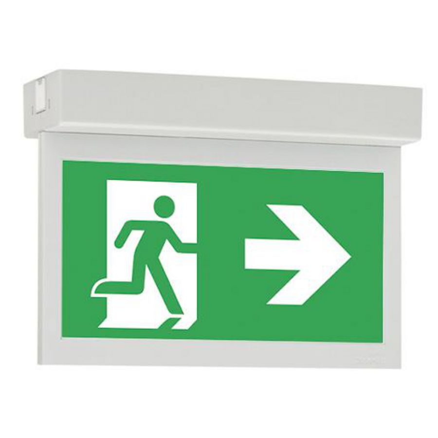 Noodverlichting plaf. opbouw centraal CG-S vluchtroute aanduiding 30m