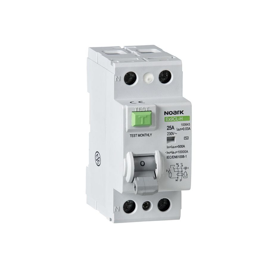 Aardlekschakelaar 100A 2P 100mA 10kA S
