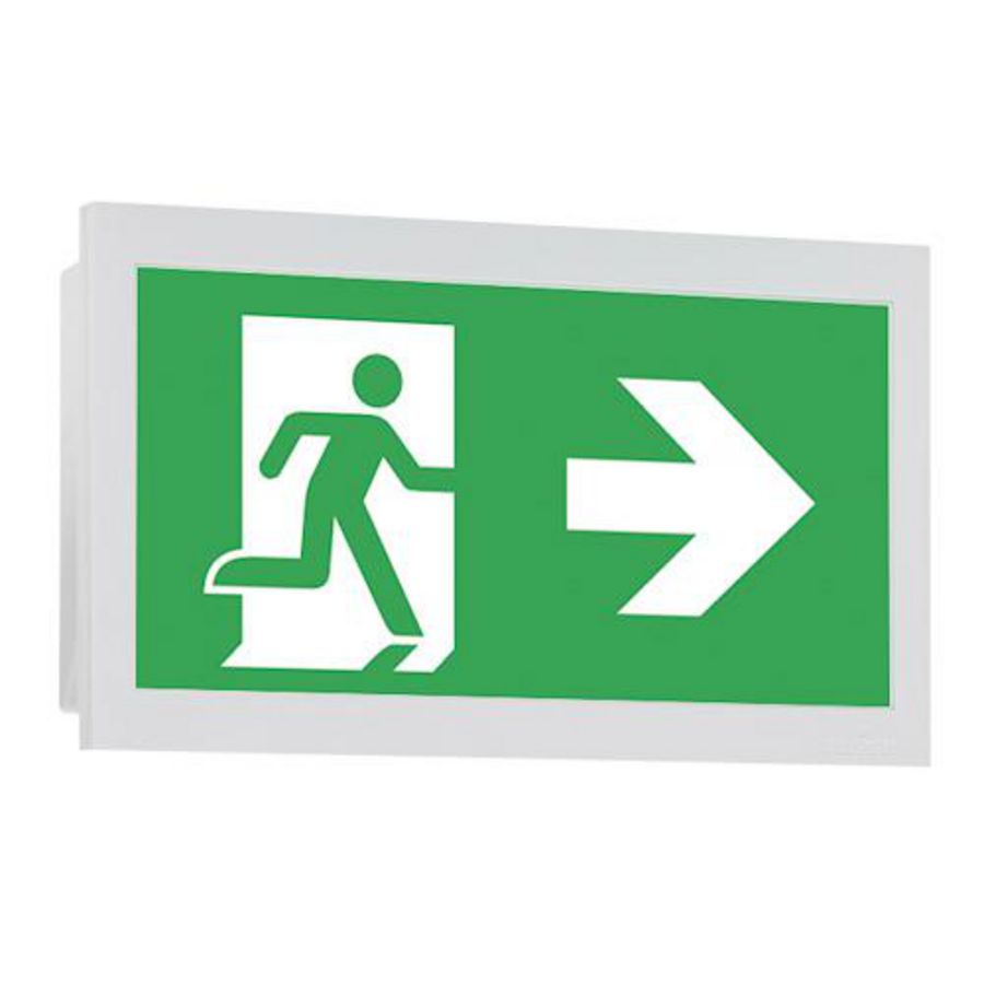 Noodverlichting wand inbouw centraal CG-S vluchtr.aanduiding 20/30m