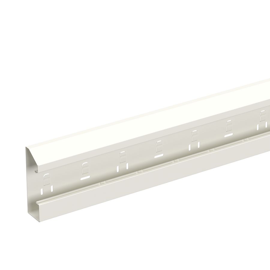 Lengte a 2,5m. Wandgoot 165Vx52 WGX wit RAL9010