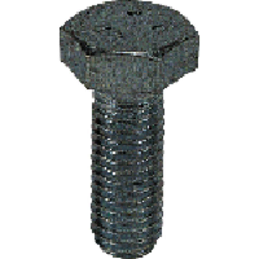 Zeskantbout Thvz M10x80 VVE=100