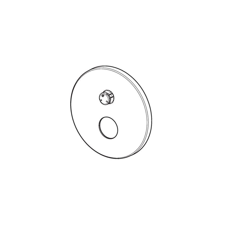 Afdekplaat d 170 mm 59914533