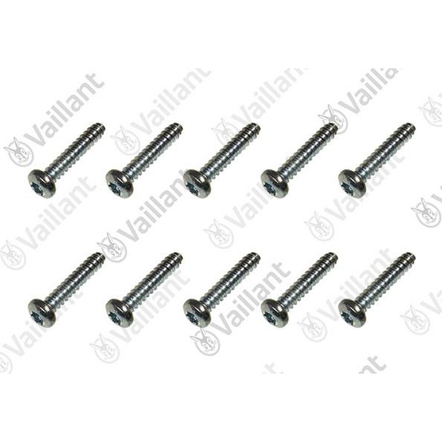 Set a 10st. Schroef 0020240277