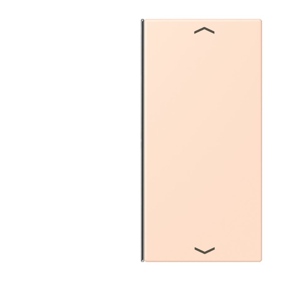 Vervangingswip F40 2-voudig pijl LC32091 KNX