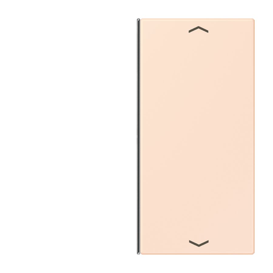 Vervangingswip F40 2-voudig pijl LC32082 KNX