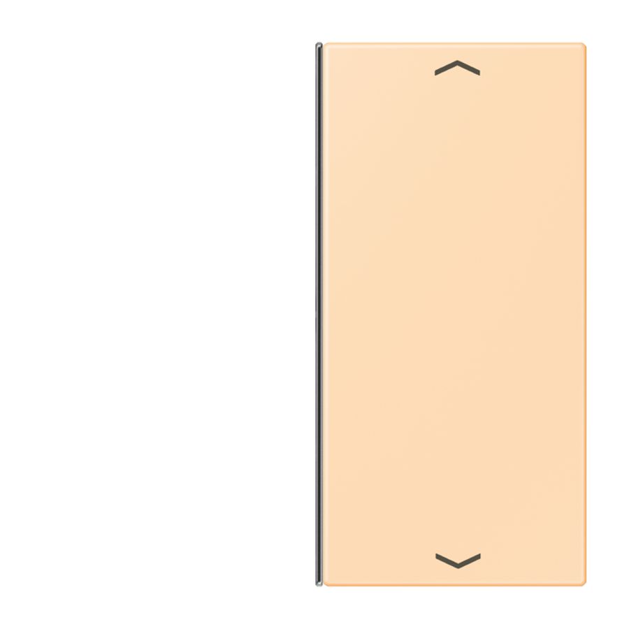 Vervangingswip F40 2-voudig pijl LC32060 KNX