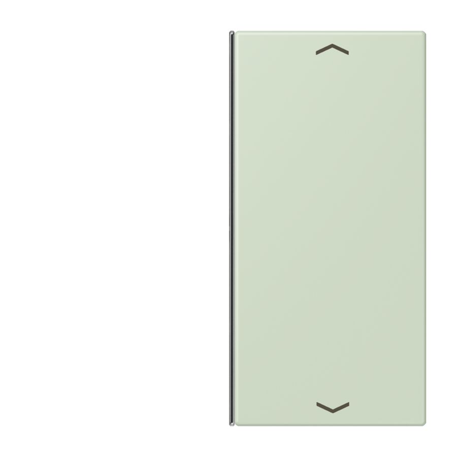 Vervangingswip F40 2-voudig pijl LC32042 KNX
